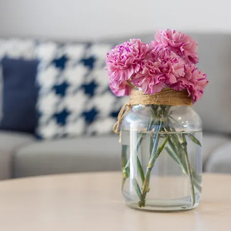 Rio 2 Barca Apartamento