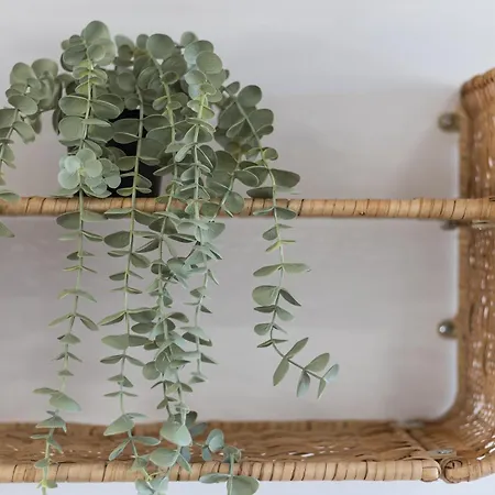 Apartamento Rio 2 Barca Costa Calma